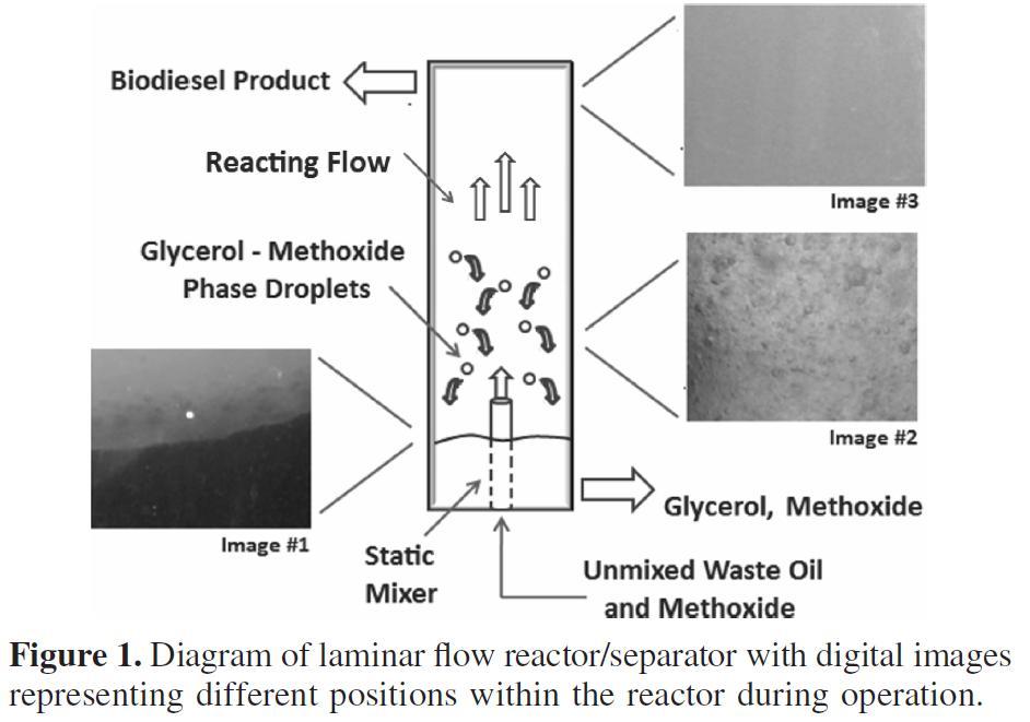 PhytoTron Separation images